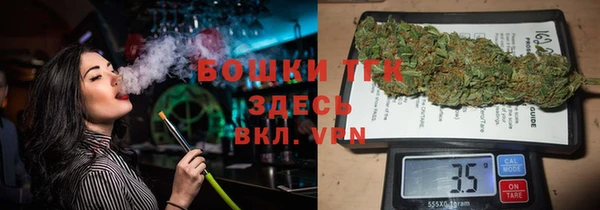прущие грибы Котовск