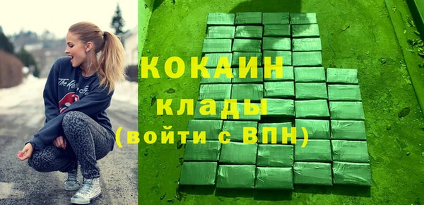 индика Беломорск