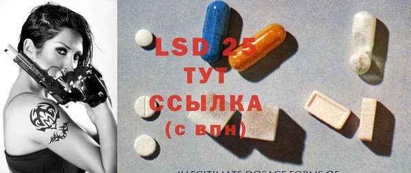 ГАЛЛЮЦИНОГЕННЫЕ ГРИБЫ Белокуриха