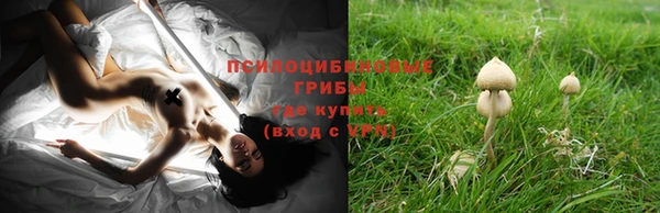 спайс Кохма