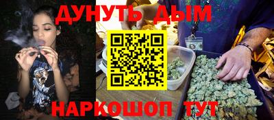 индика Ирбит