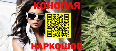 индика Ирбит