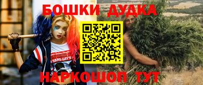 индика Ирбит