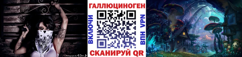 закладка  Саяногорск  Галлюциногенные грибы GOLDEN TEACHER 