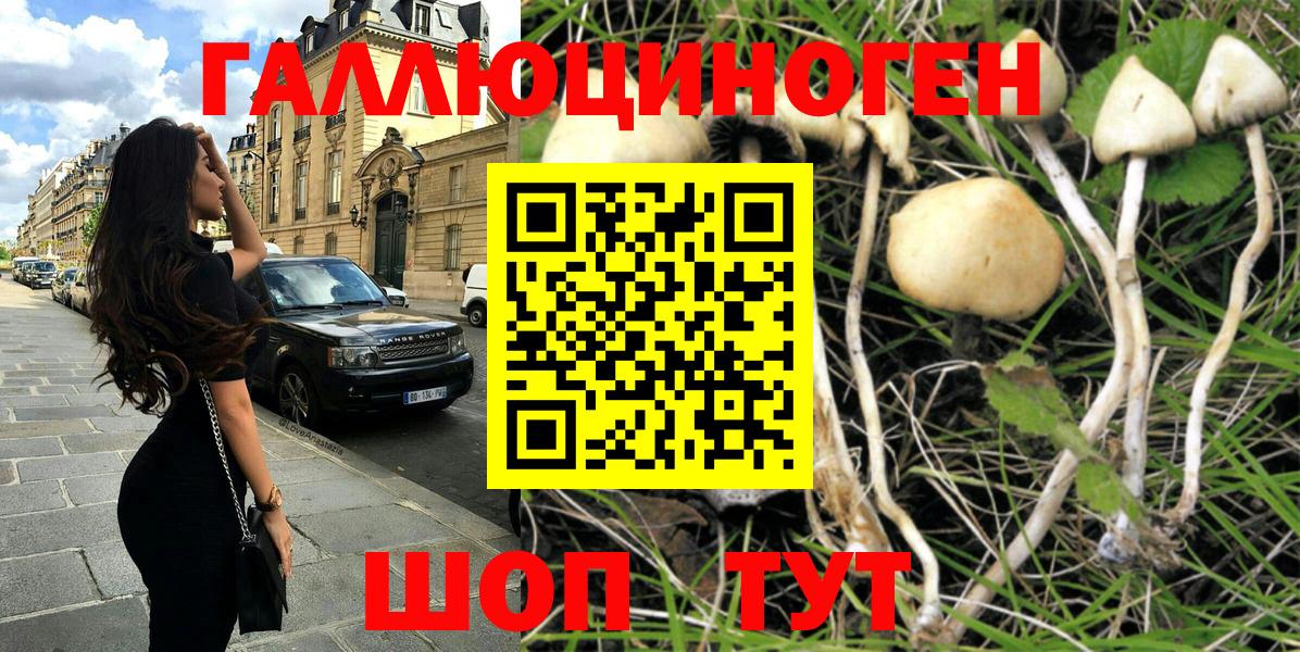 Саяногорск  Псилоцибиновые грибы GOLDEN TEACHER  Вход с VPN 